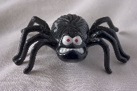 Scary Spider