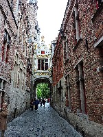 Blind Donkey Alley