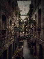 The Passageway