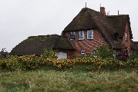 Frisian House