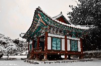 Hanok House