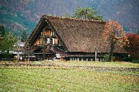 Minka House