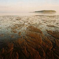 Bay Of Fundy