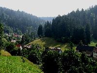 Black Forest
