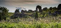Gotland