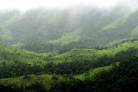 Kudremukh National Park