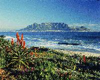 Table Mountain