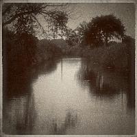 The Camargue