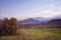 The Drakensberg